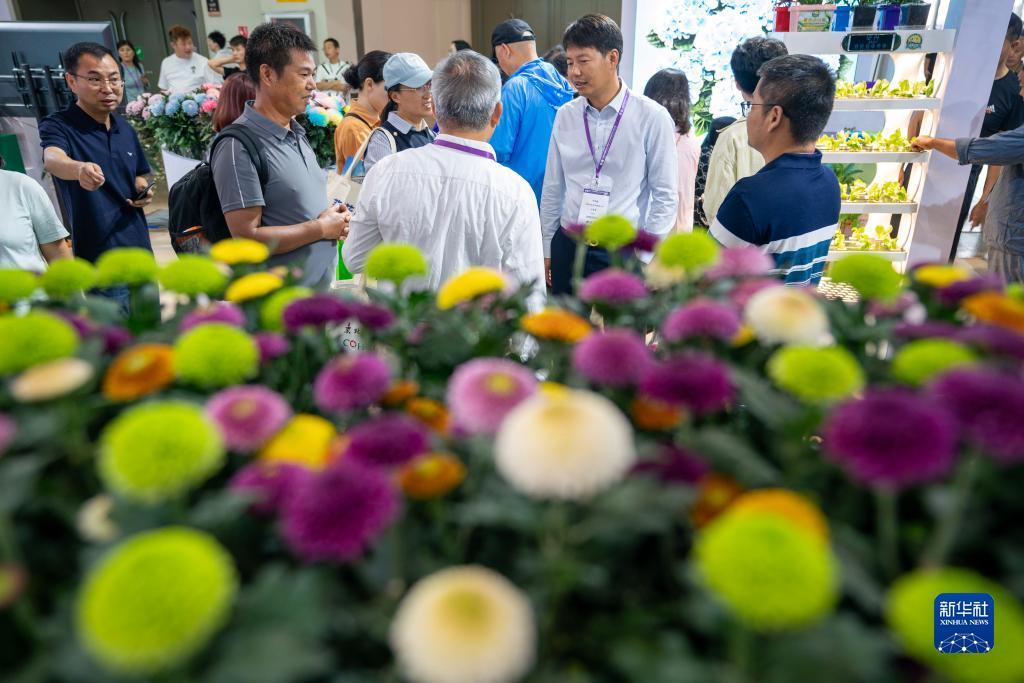 金沙电子所有网址